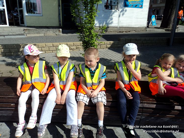 Tygryski w księgarni i przy fontannach