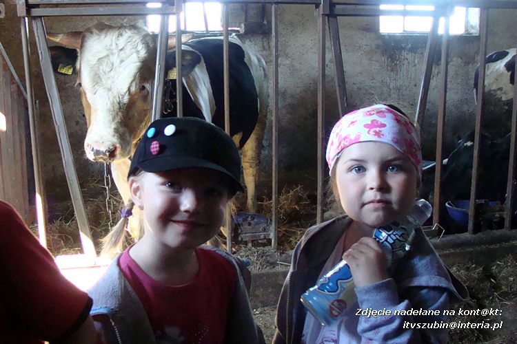 Pszczółki i Zuchy z wizytą w gospodarstwie rolnym