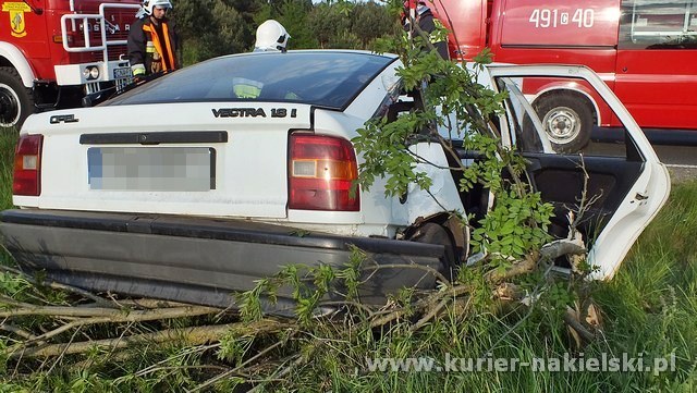 Kolizja na drodze wojewódzkiej nr 241