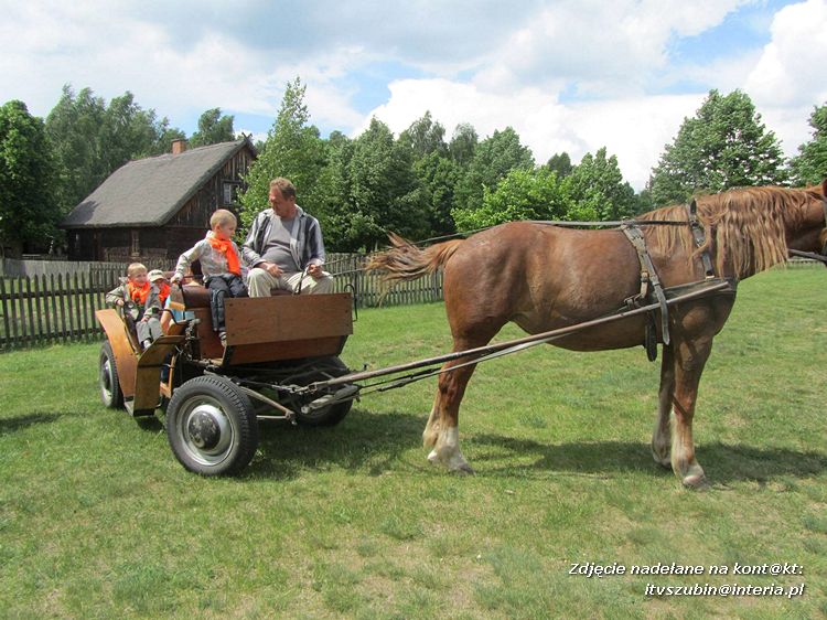 Przedszkolaki w Skansenie w Osieku