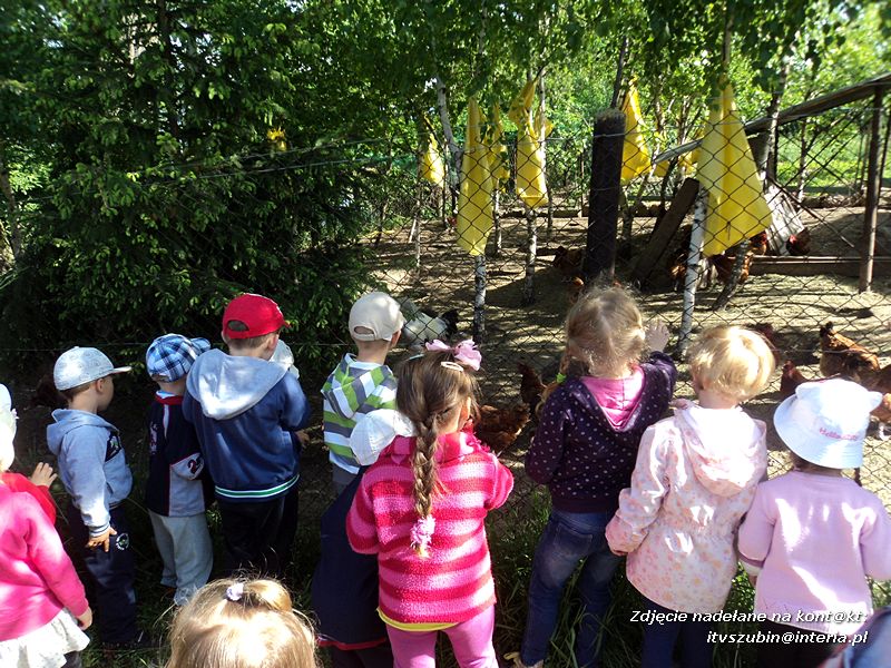 Wielka frajda dla maluchów