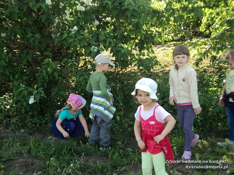 Wielka frajda dla maluchów