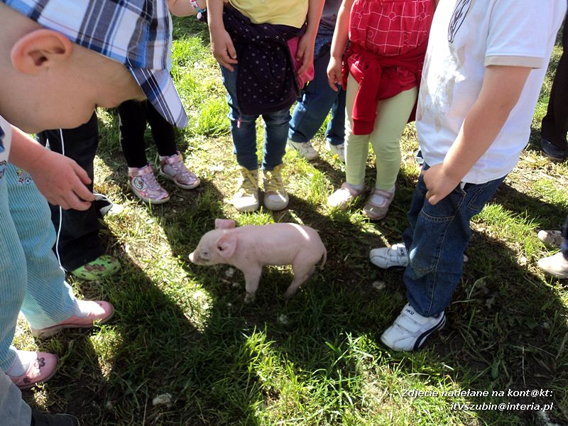 Wielka frajda dla maluchów