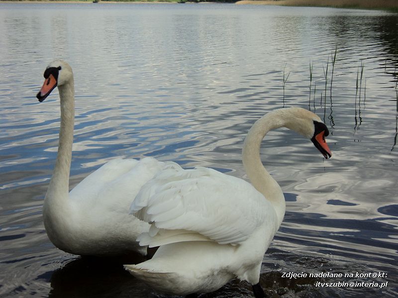Wielka frajda dla maluchów