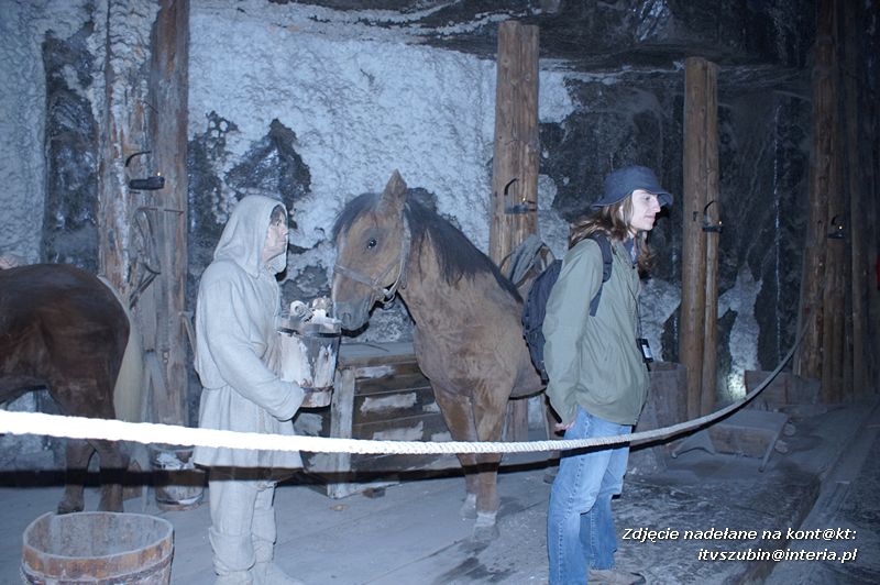 Gimnazjaliści na ostatniej wspólnej wycieczce