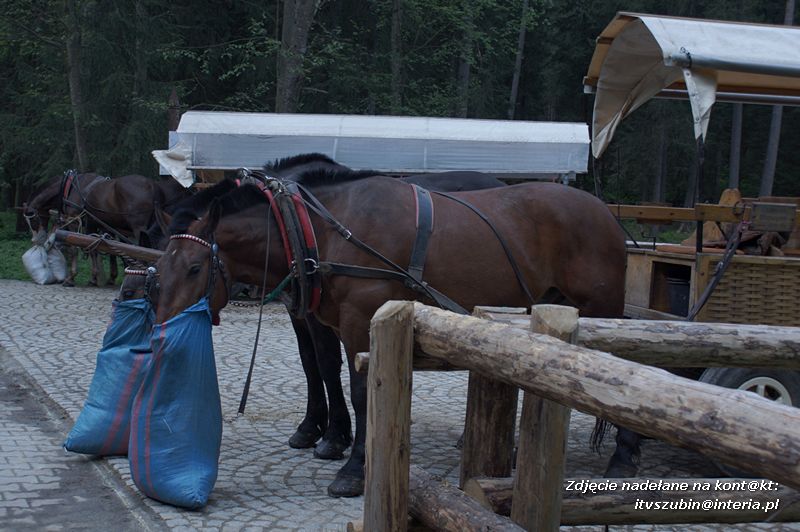 Gimnazjaliści na ostatniej wspólnej wycieczce