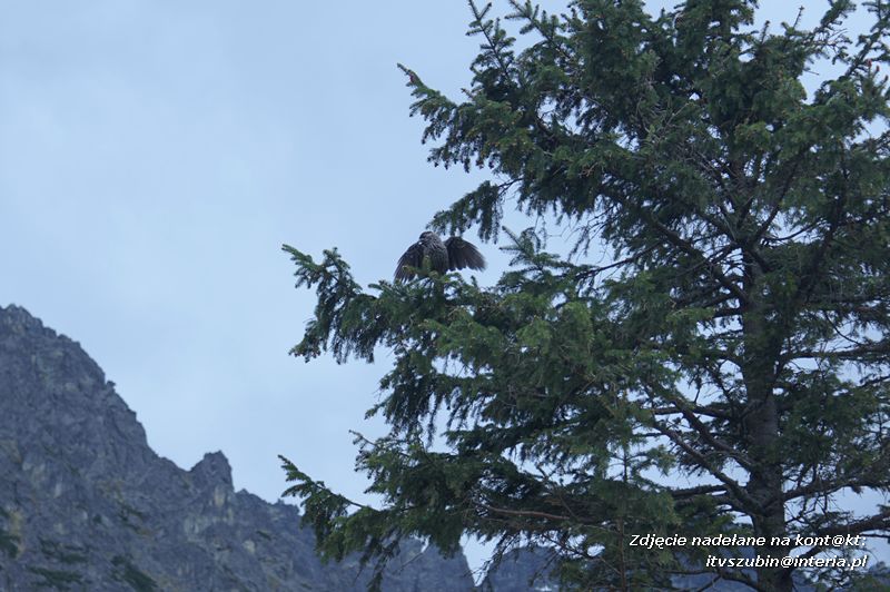 Gimnazjaliści na ostatniej wspólnej wycieczce
