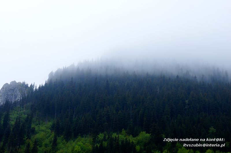 Gimnazjaliści na ostatniej wspólnej wycieczce