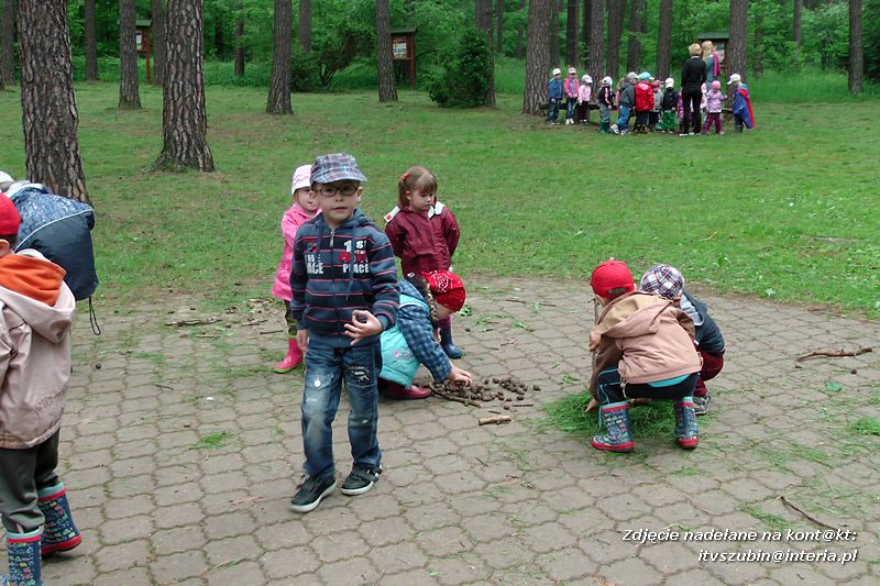 Impreza integracyjna 