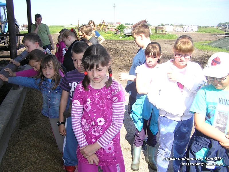 Maluchy z szubińskiej dwójki z wizytą w gospodarstwie rolnym w Szaradowie