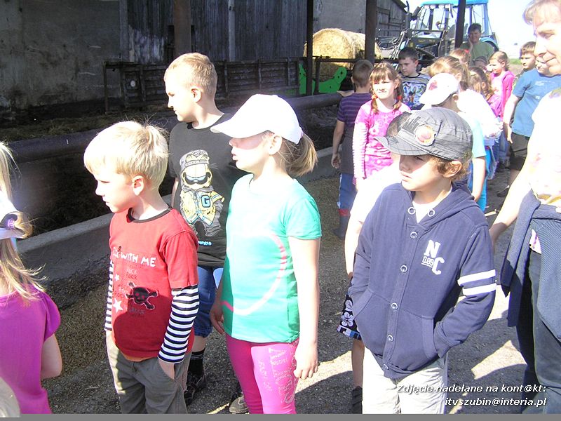 Maluchy z szubińskiej dwójki z wizytą w gospodarstwie rolnym w Szaradowie