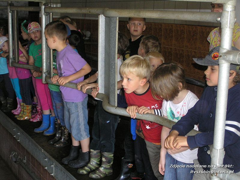 Maluchy z szubińskiej dwójki z wizytą w gospodarstwie rolnym w Szaradowie