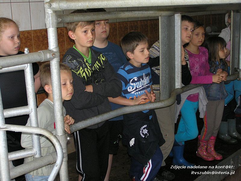 Maluchy z szubińskiej dwójki z wizytą w gospodarstwie rolnym w Szaradowie