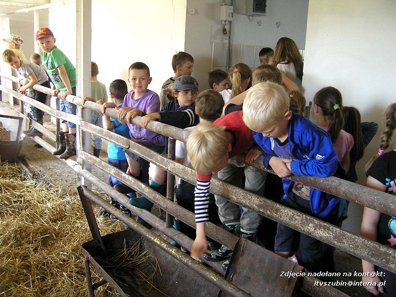 Maluchy z szubińskiej dwójki z wizytą w gospodarstwie rolnym w Szaradowie