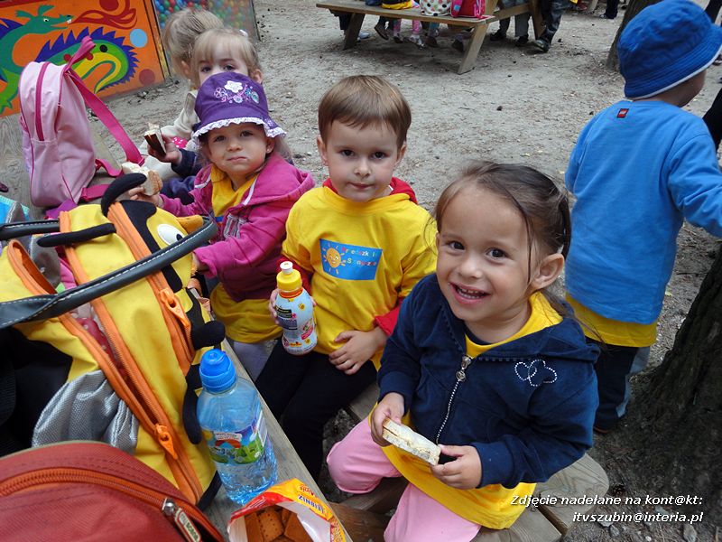 Maluchy ze Słoneczka na wycieczce w Myślęcinku