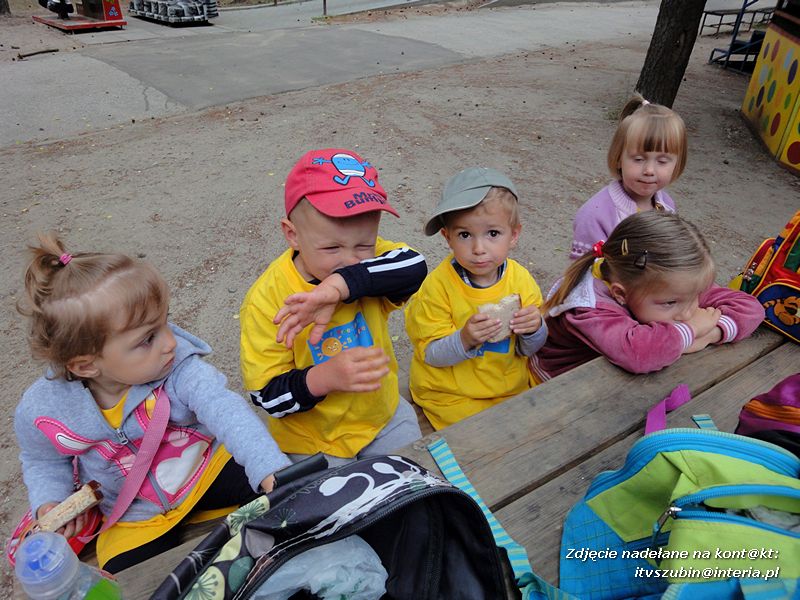 Maluchy ze Słoneczka na wycieczce w Myślęcinku