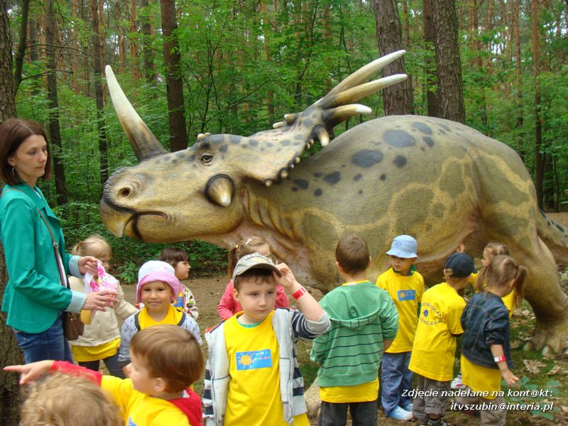 Maluchy ze Słoneczka na wycieczce w Myślęcinku