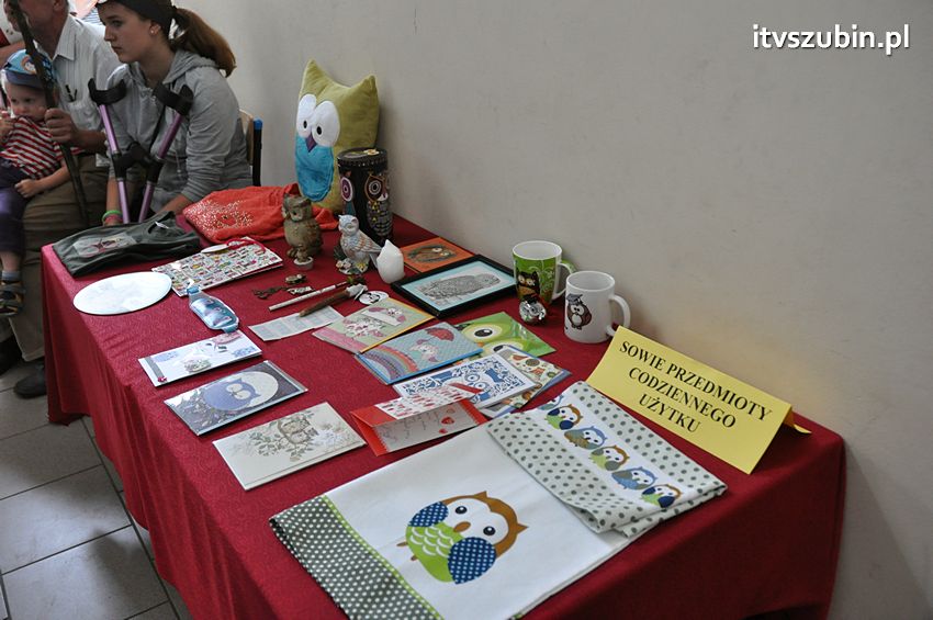 Dzień Sowy Mądrej Głowy w Kołaczkowie