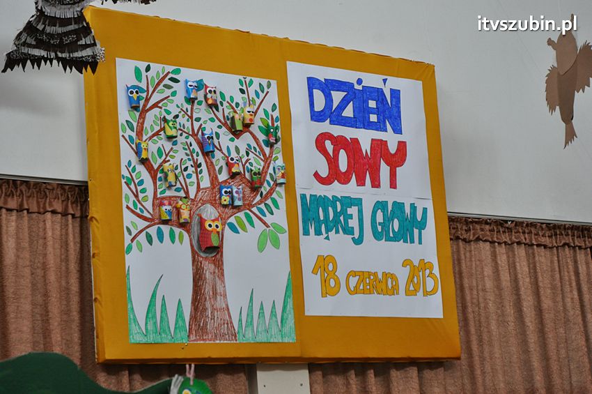 Dzień Sowy Mądrej Głowy w Kołaczkowie