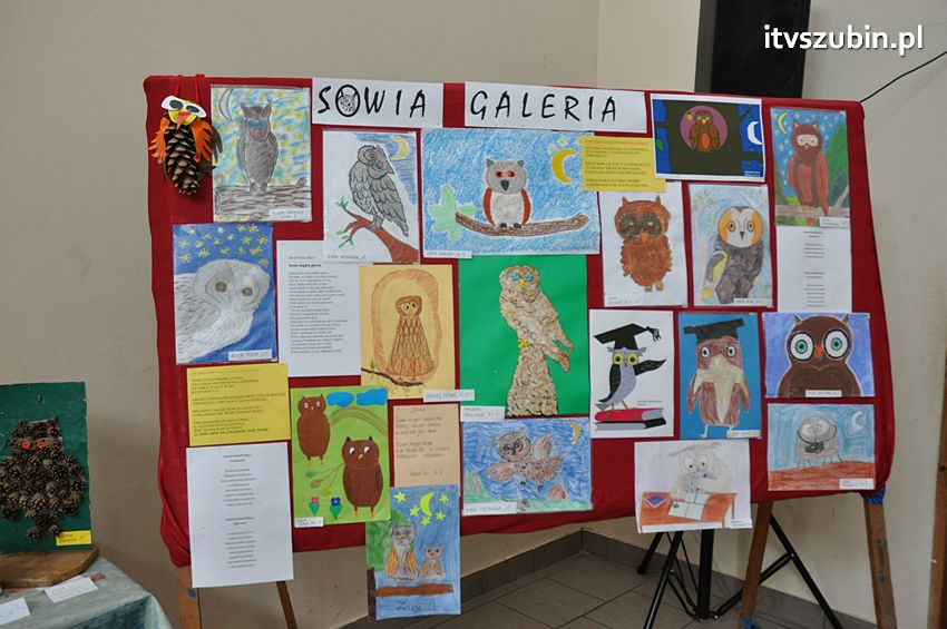 Dzień Sowy Mądrej Głowy w Kołaczkowie