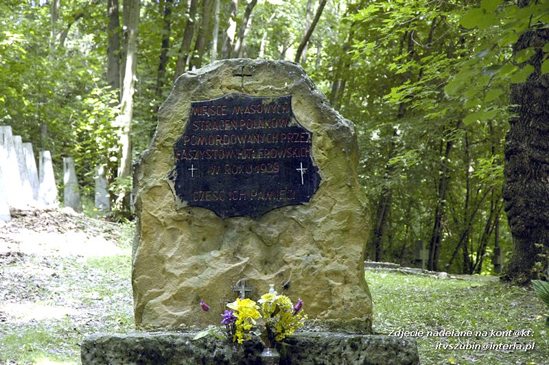 Pielgrzymka w Roku Wiary do Sanktuarium Królowej Męczenników