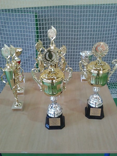 Kolejne sukcesy judoków z Szubinianki