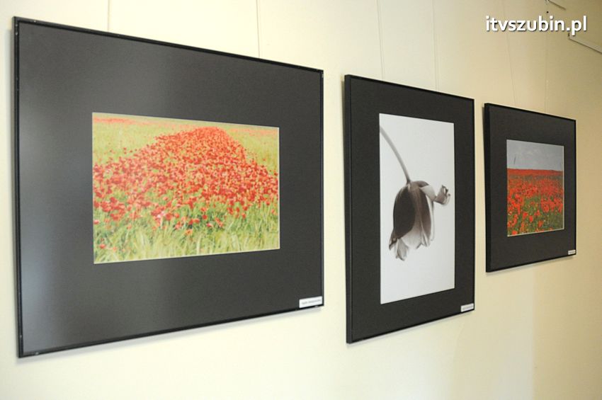 Kontrast - Kolejna wystawa fleszowców