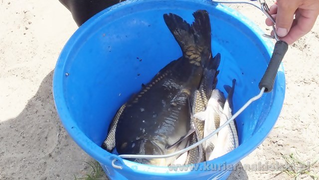 Tomasz Janasiński wygrał II turę tegorocznych powiatowych zawodów wędkarskich dla samorządów i służb mundurowych