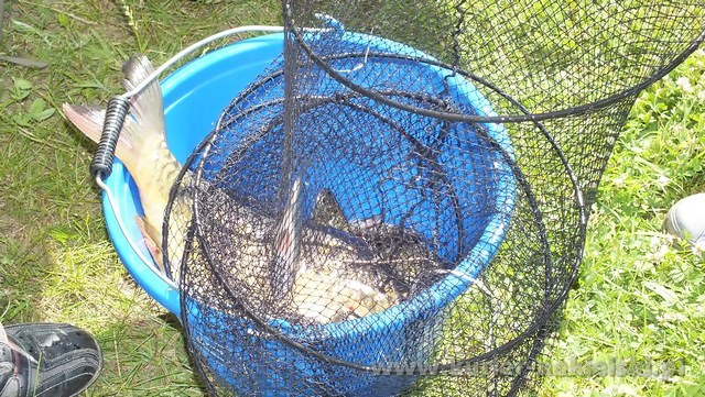 Tomasz Janasiński wygrał II turę tegorocznych powiatowych zawodów wędkarskich dla samorządów i służb mundurowych