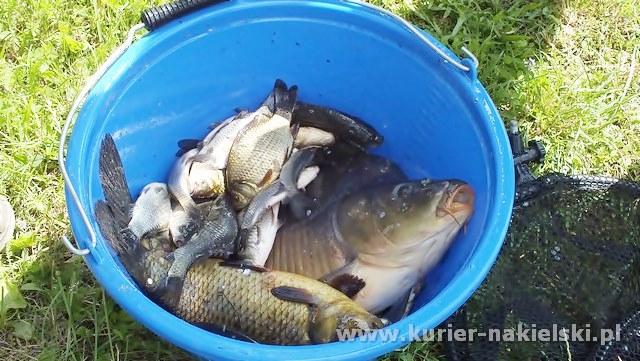 Tomasz Janasiński wygrał II turę tegorocznych powiatowych zawodów wędkarskich dla samorządów i służb mundurowych