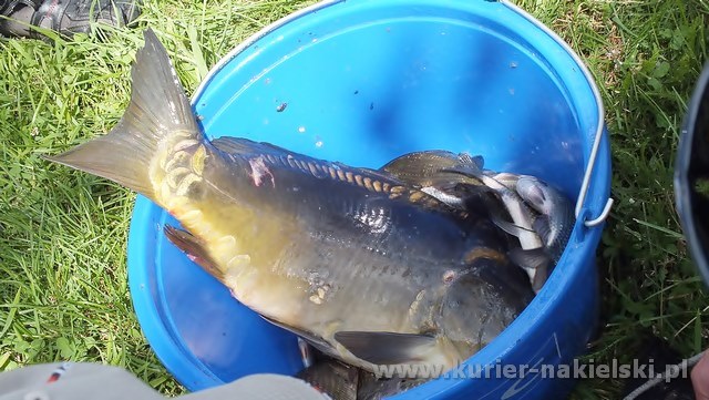 Tomasz Janasiński wygrał II turę tegorocznych powiatowych zawodów wędkarskich dla samorządów i służb mundurowych