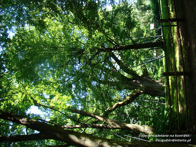Gimnazjaliści w Górach Świętokrzyskich