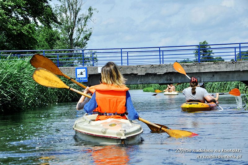 Płyniemy, znakujemy i oczyszczamy szlak notecki - I Proekologiczny Spływ Kajakowy Notecią