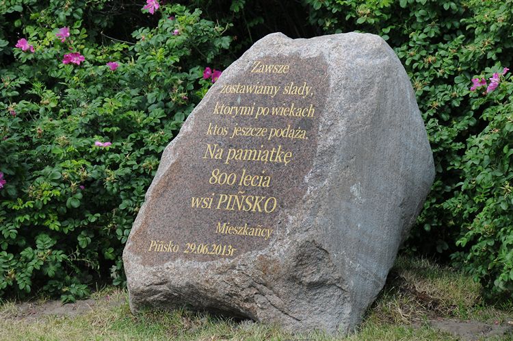 Wielki Piknik z okazji 800-lecia Pińska