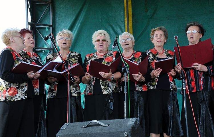 Wielki Piknik z okazji 800-lecia Pińska