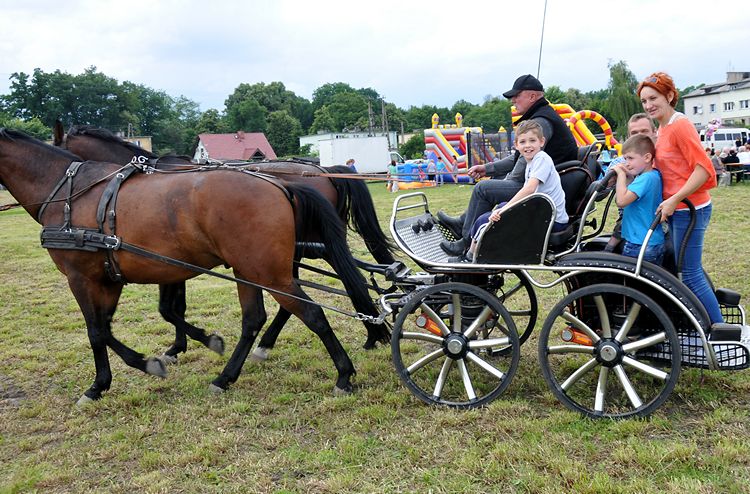 Wielki Piknik z okazji 800-lecia Pińska