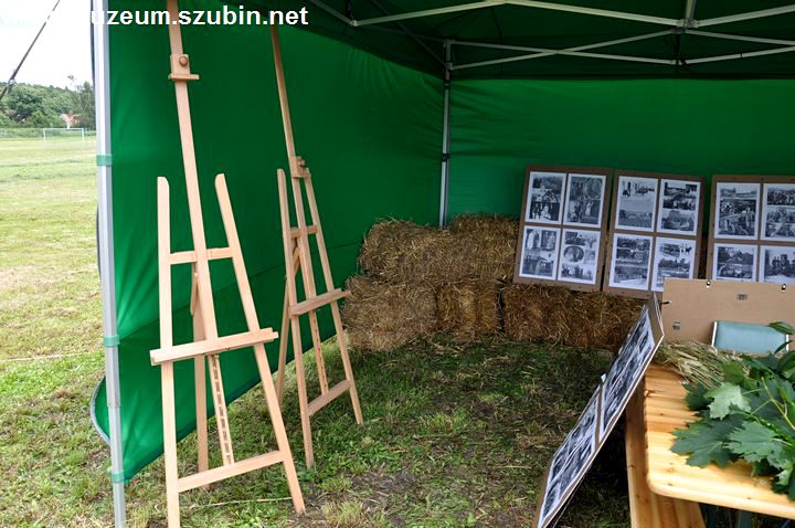 Wielki Piknik z okazji 800-lecia Pińska