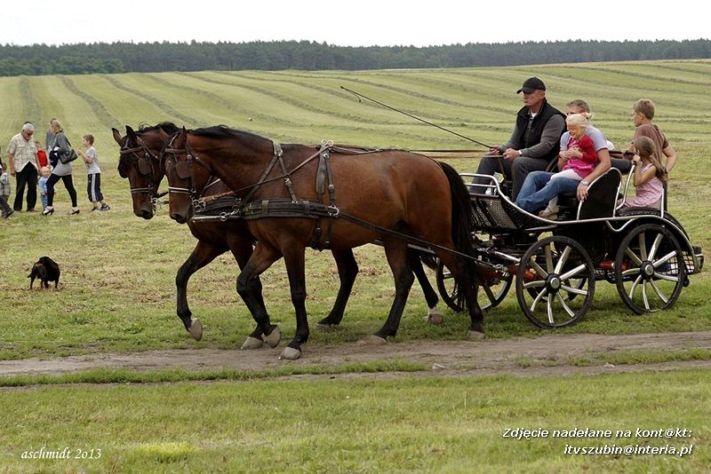Wielki Piknik z okazji 800-lecia Pińska