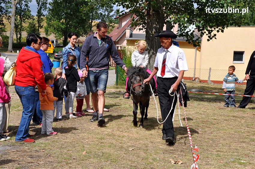 Lato 2013 oficjalnie rozpoczęte