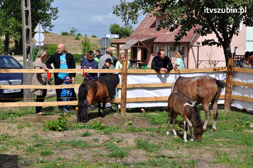 Lato 2013 oficjalnie rozpoczęte