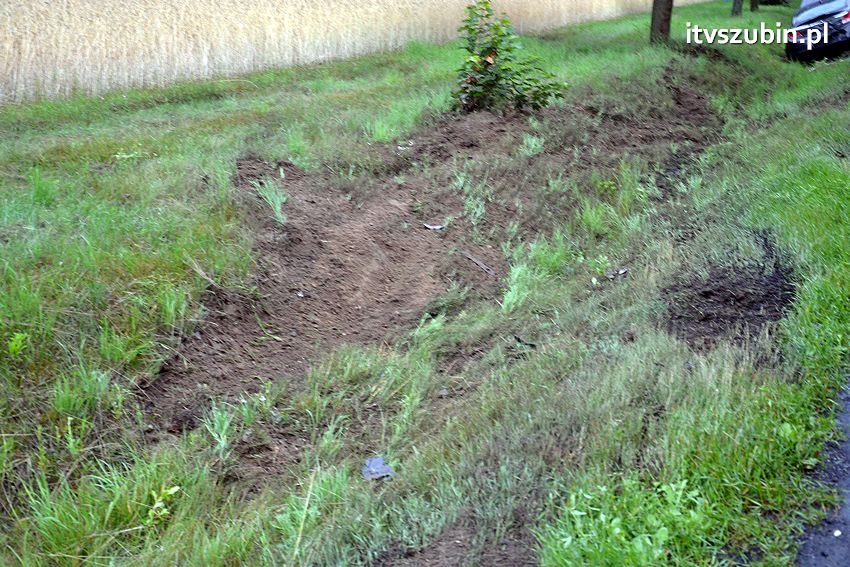 Jak grzyby po deszczu - zdarzenie za zdarzeniem