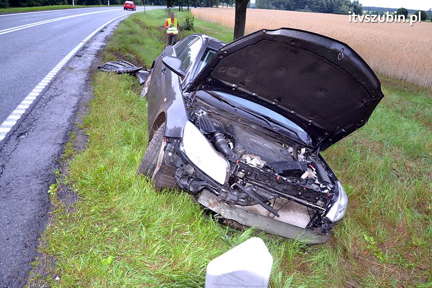 Jak grzyby po deszczu - zdarzenie za zdarzeniem