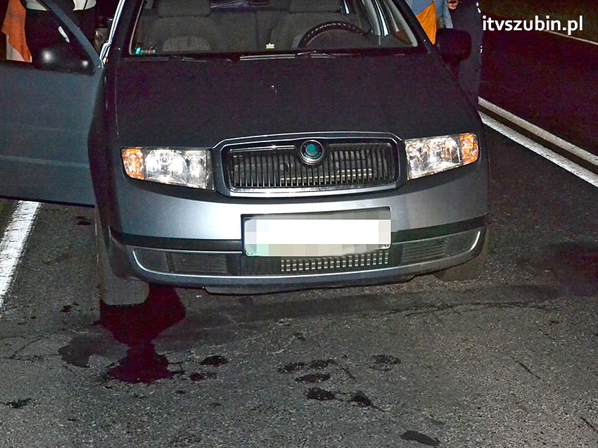 Jak grzyby po deszczu - zdarzenie za zdarzeniem