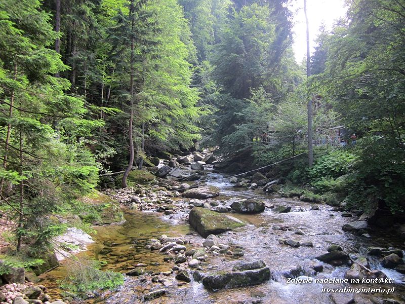 ?Superwycieczka dla naszego dziecka II? ze Stowarzyszeniem Inicjatyw Rozwoju Rynarzewa