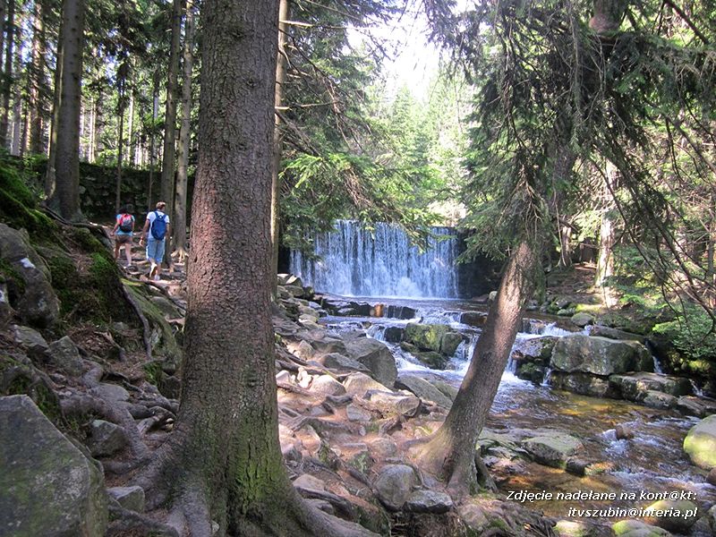 ?Superwycieczka dla naszego dziecka II? ze Stowarzyszeniem Inicjatyw Rozwoju Rynarzewa