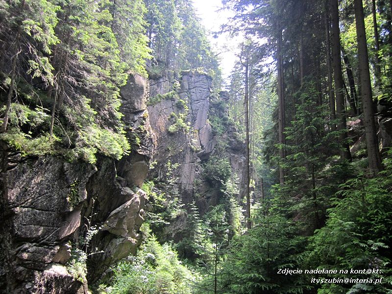 ?Superwycieczka dla naszego dziecka II? ze Stowarzyszeniem Inicjatyw Rozwoju Rynarzewa