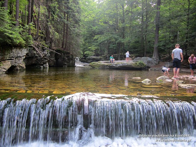?Superwycieczka dla naszego dziecka II? ze Stowarzyszeniem Inicjatyw Rozwoju Rynarzewa