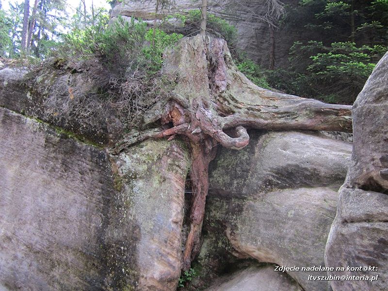 ?Superwycieczka dla naszego dziecka II? ze Stowarzyszeniem Inicjatyw Rozwoju Rynarzewa