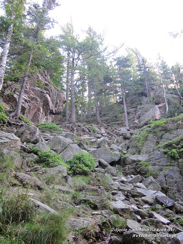 ?Superwycieczka dla naszego dziecka II? ze Stowarzyszeniem Inicjatyw Rozwoju Rynarzewa