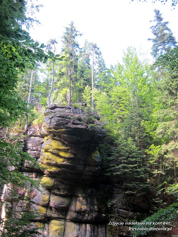 ?Superwycieczka dla naszego dziecka II? ze Stowarzyszeniem Inicjatyw Rozwoju Rynarzewa